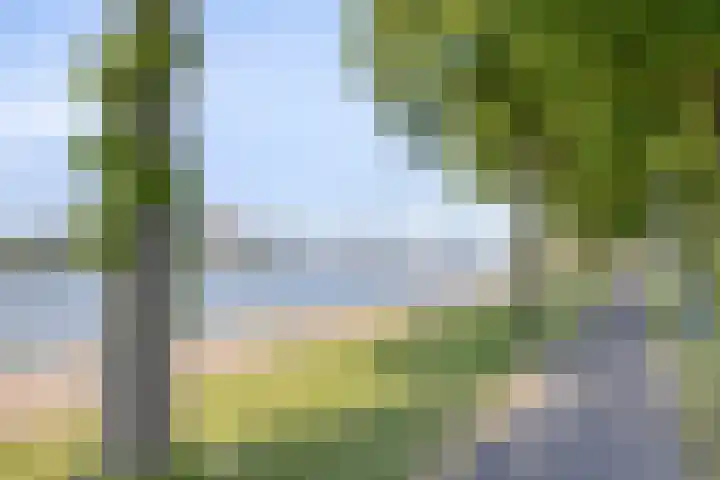 Kabelhof 66 Rotterdam thumbnail 32