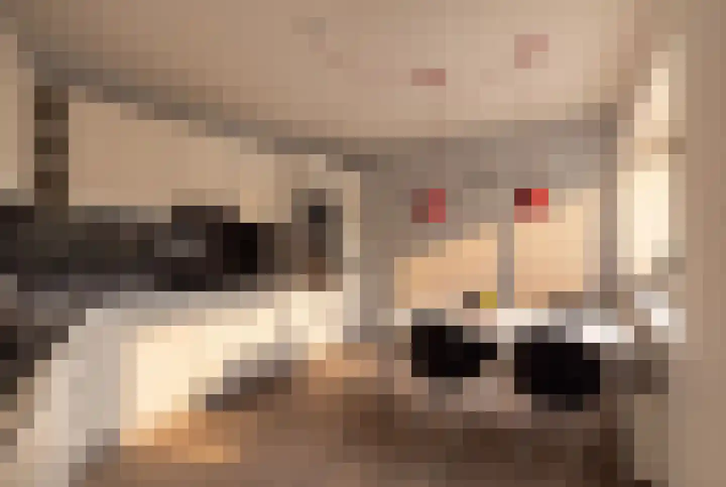Kabelhof 68 Rotterdam thumbnail 11