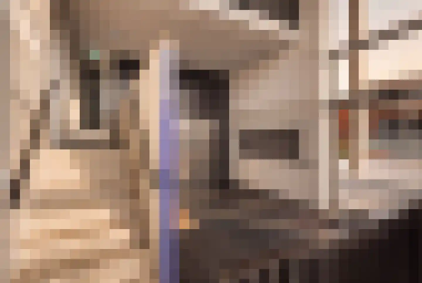 Kabelhof 68 Rotterdam thumbnail 27