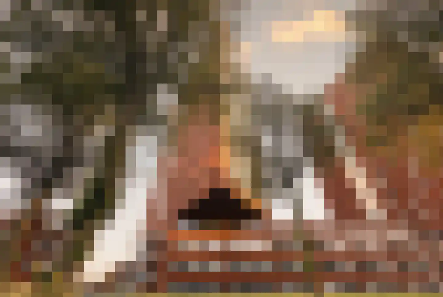 Kabelhof 68 Rotterdam thumbnail 6
