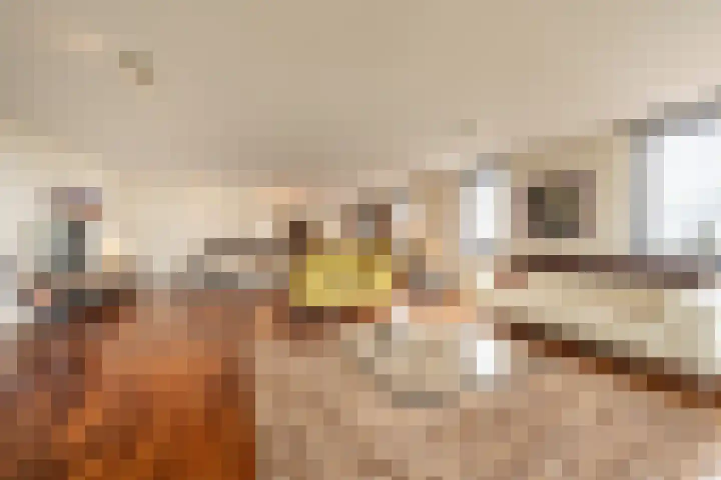 Kabelhof 79 Rotterdam thumbnail 11