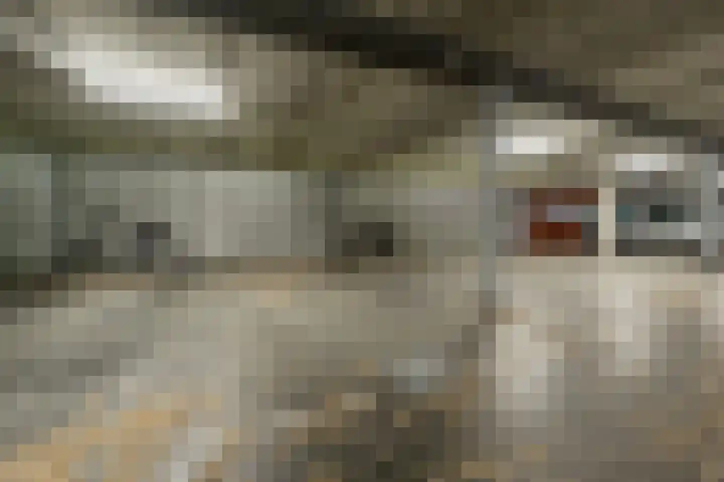 Kabelhof 79 Rotterdam thumbnail 41