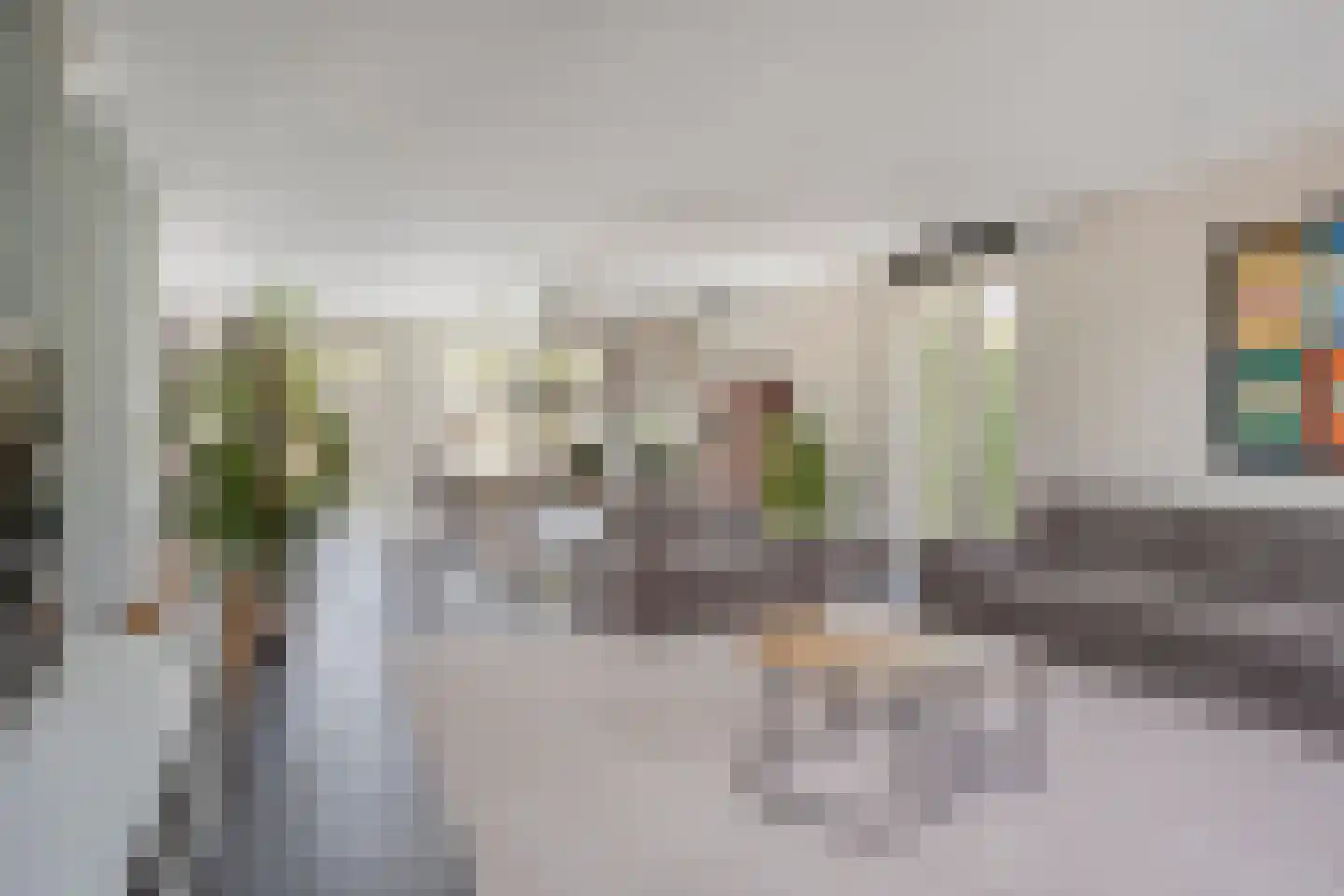 Kabeljauw 16 Schagen thumbnail 10