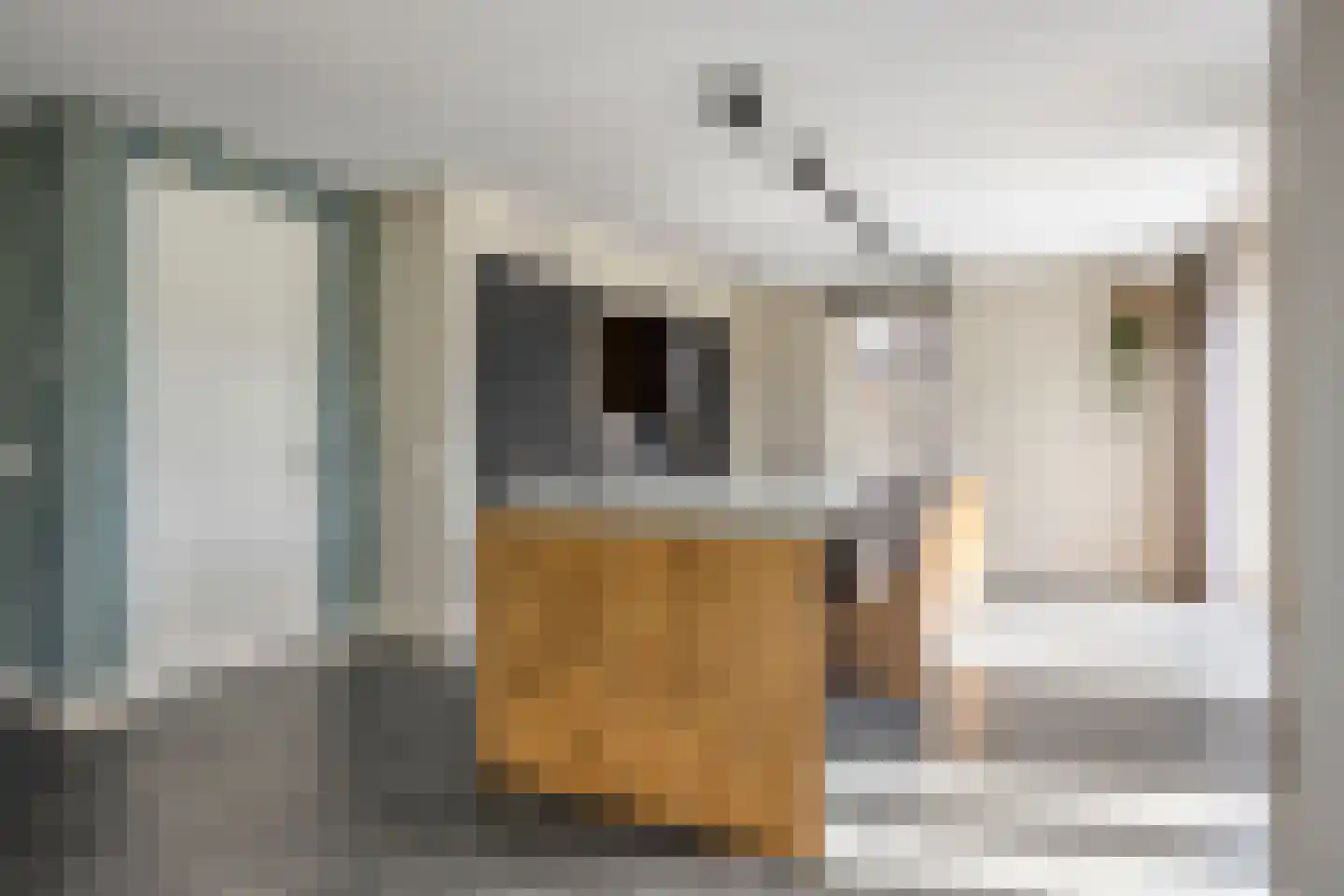 Kabeljauw 16 Schagen thumbnail 16