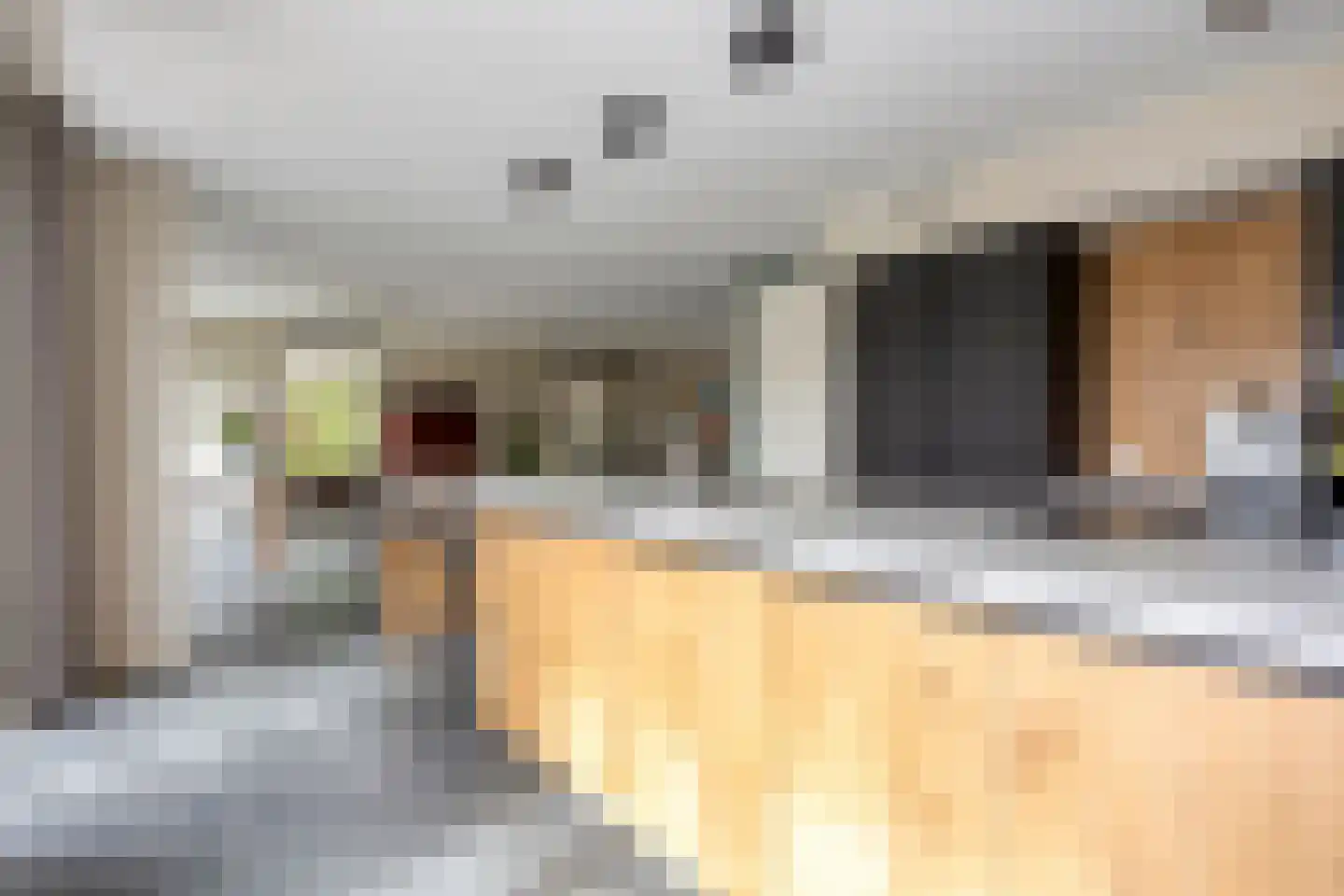 Kabeljauw 16 Schagen thumbnail 19