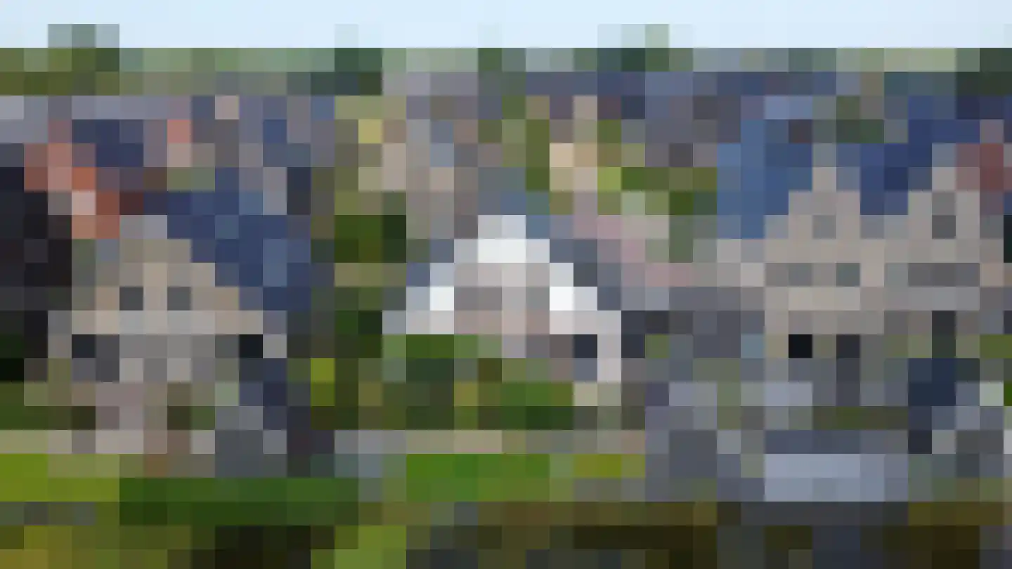 Kabeljauw 16 Schagen foto 2