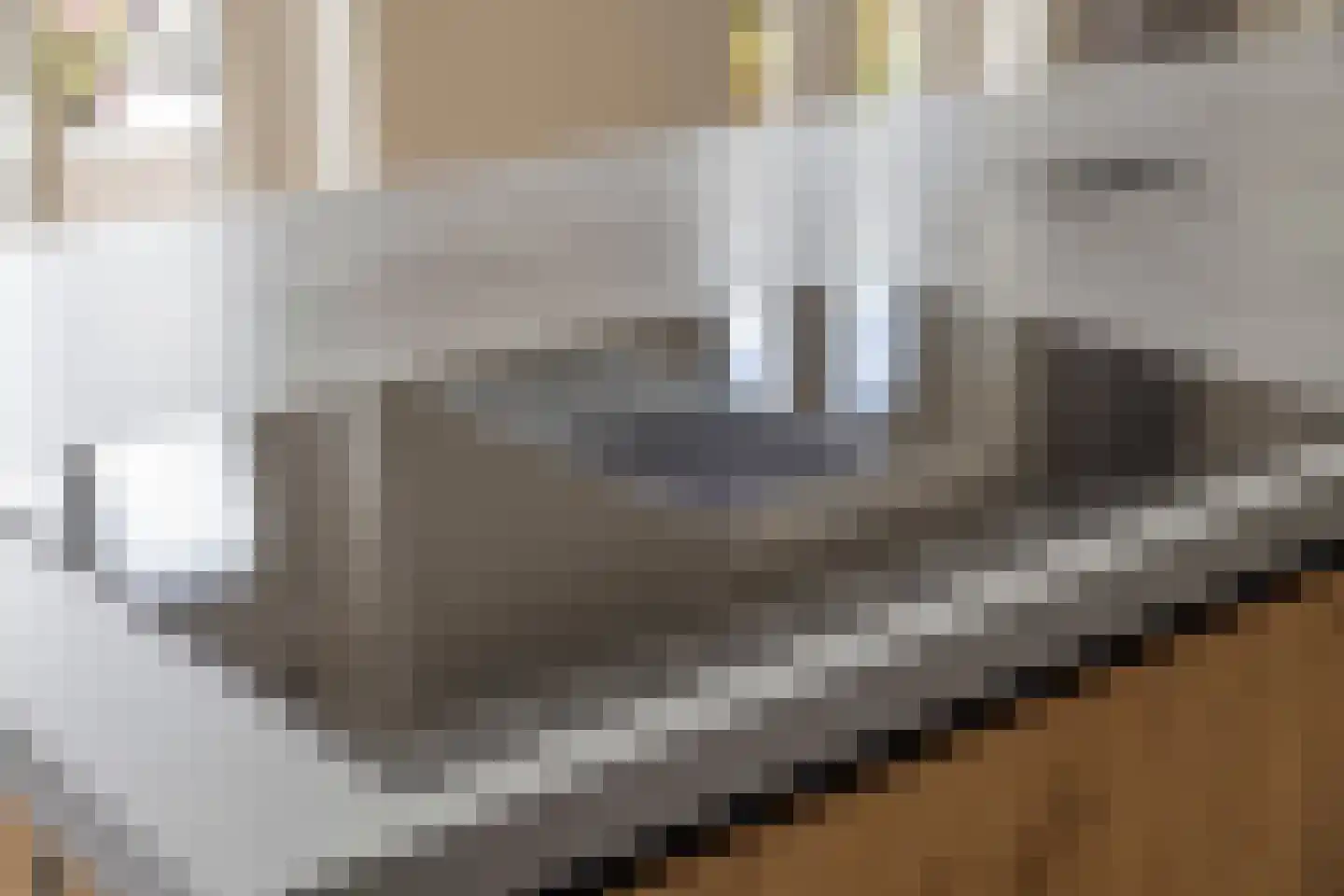 Kabeljauw 16 Schagen thumbnail 20