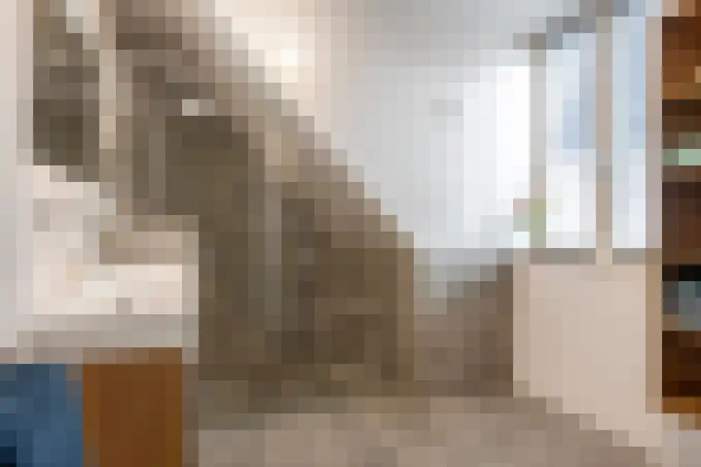 Kabeljauw 16 Schagen thumbnail 27