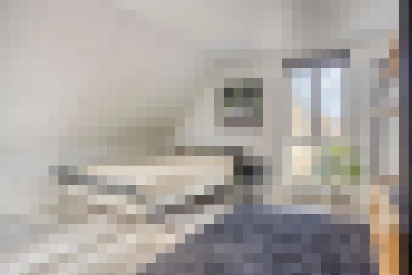 Kabeljauw 16 Schagen thumbnail 30