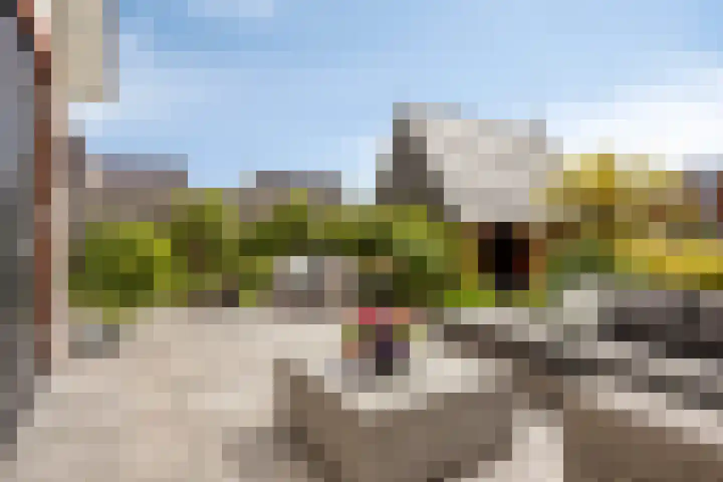 Kabeljauw 16 Schagen thumbnail 36