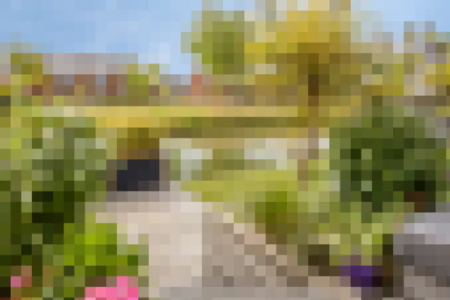 Kabeljauw 16 Schagen thumbnail 37