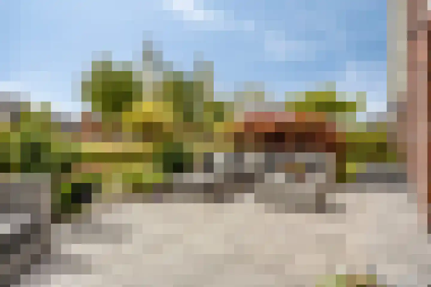 Kabeljauw 16 Schagen thumbnail 38