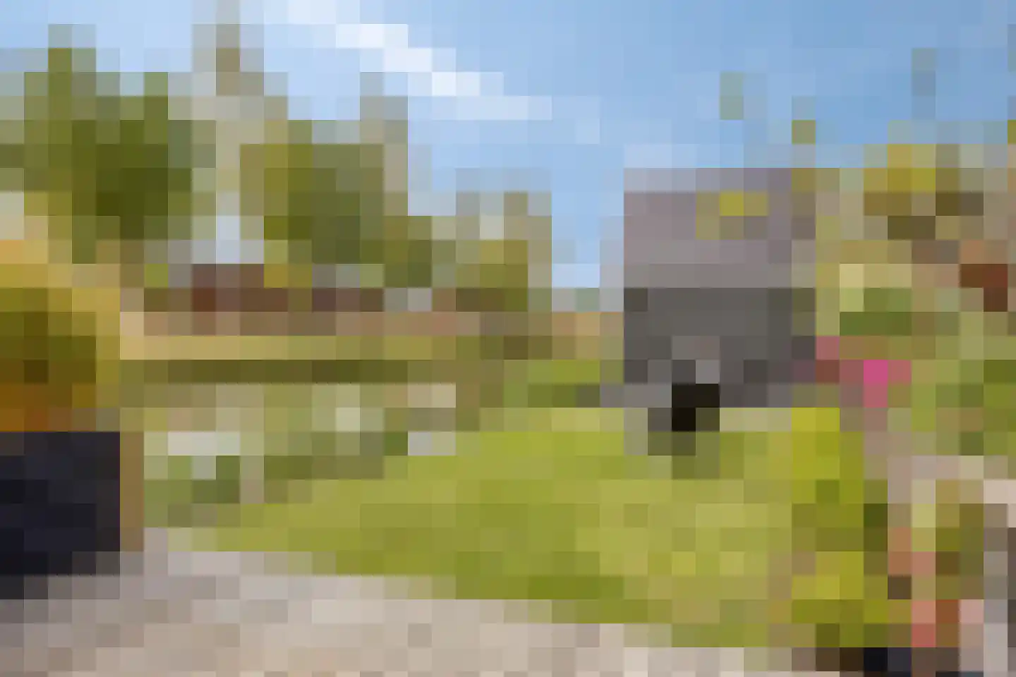 Kabeljauw 16 Schagen thumbnail 39