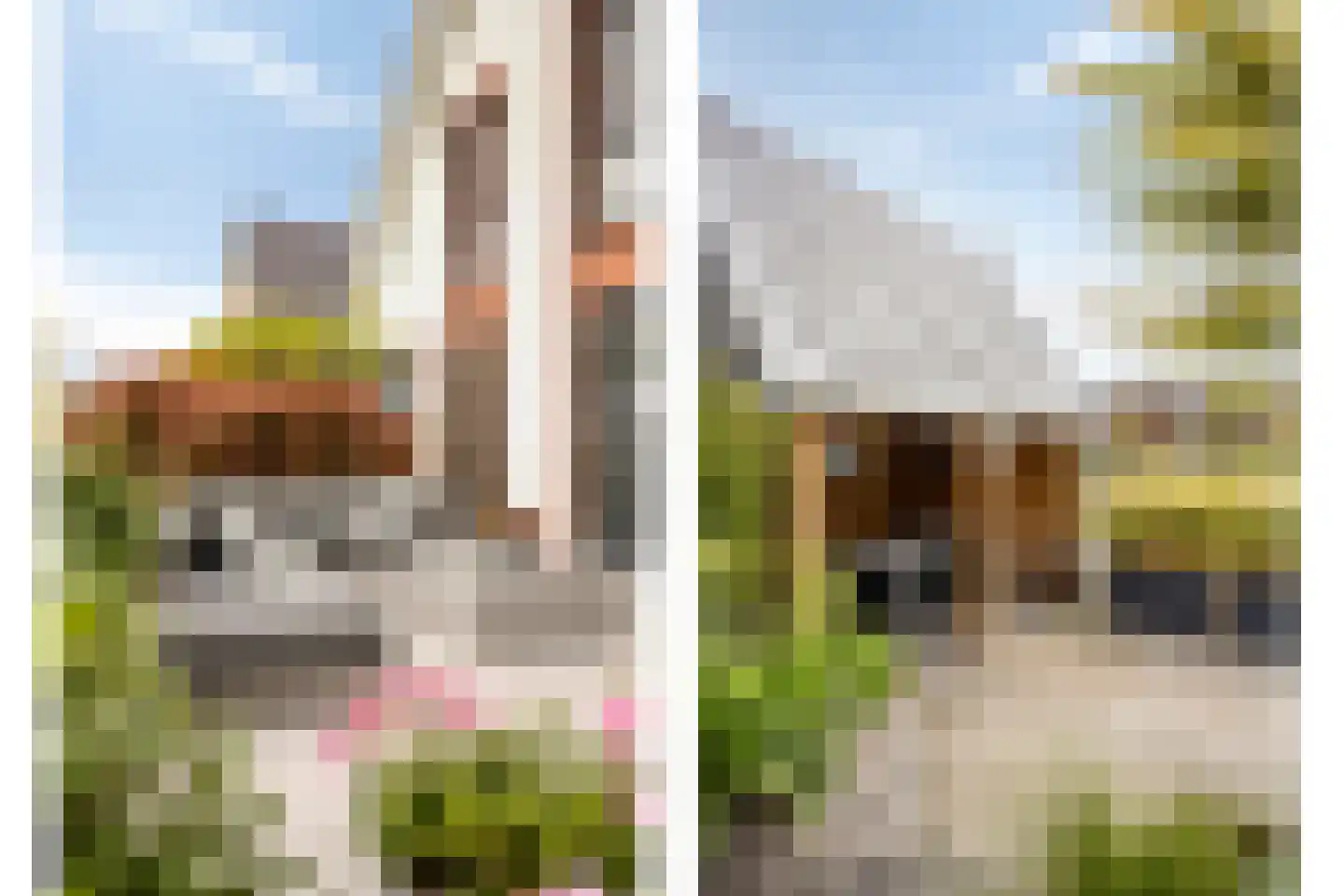 Kabeljauw 16 Schagen thumbnail 40