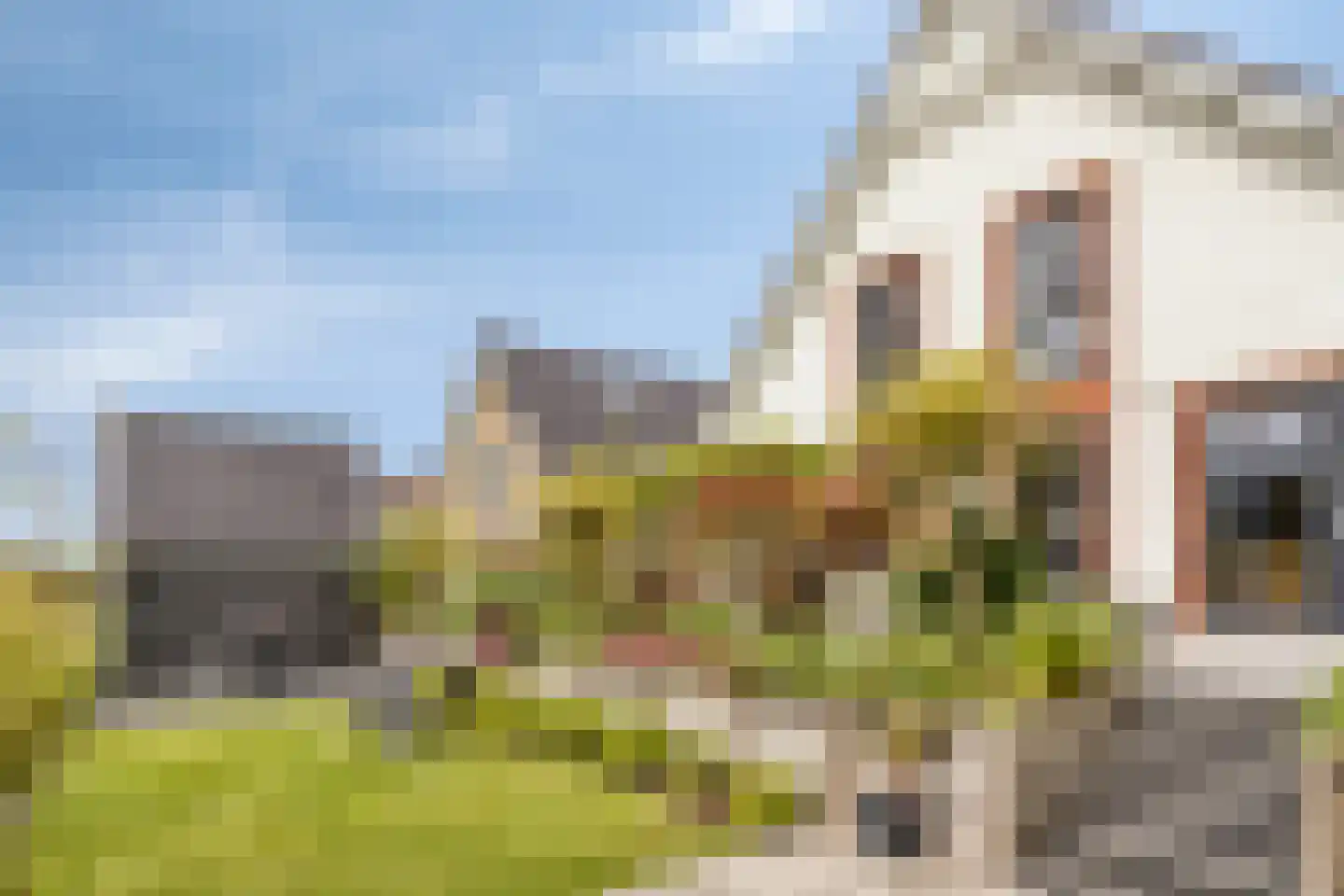 Kabeljauw 16 Schagen thumbnail 41