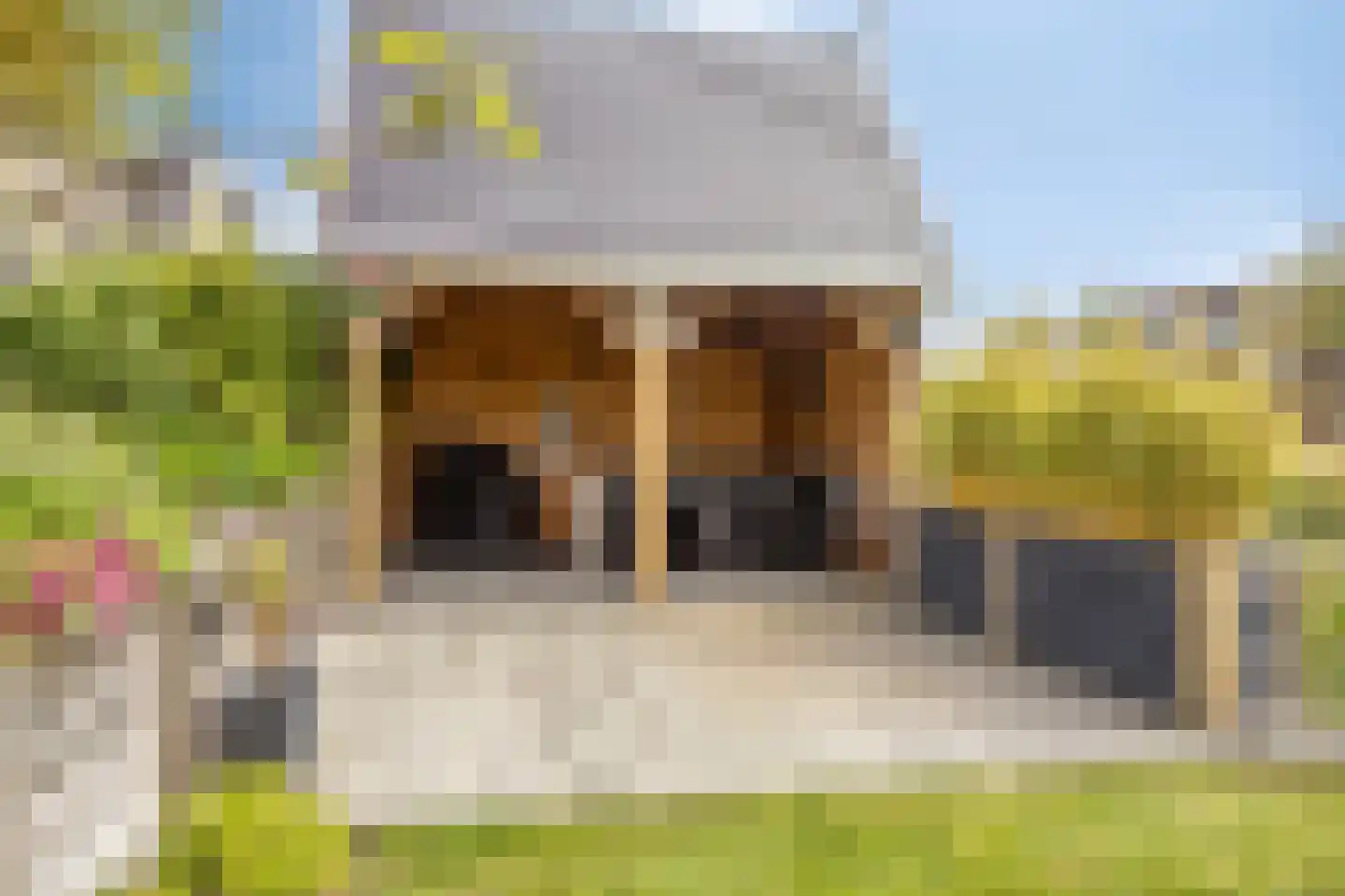 Kabeljauw 16 Schagen thumbnail 42