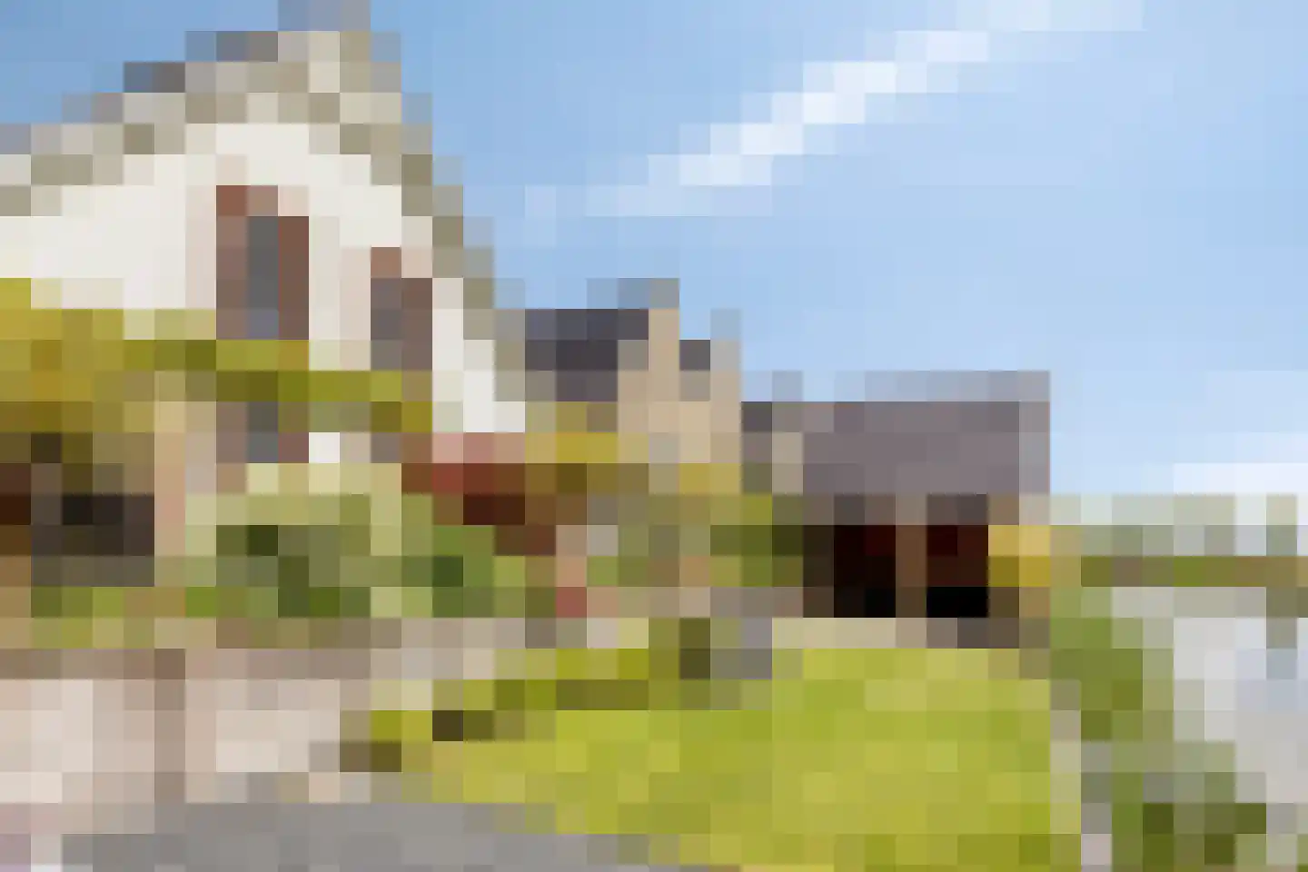 Kabeljauw 16 Schagen thumbnail 43