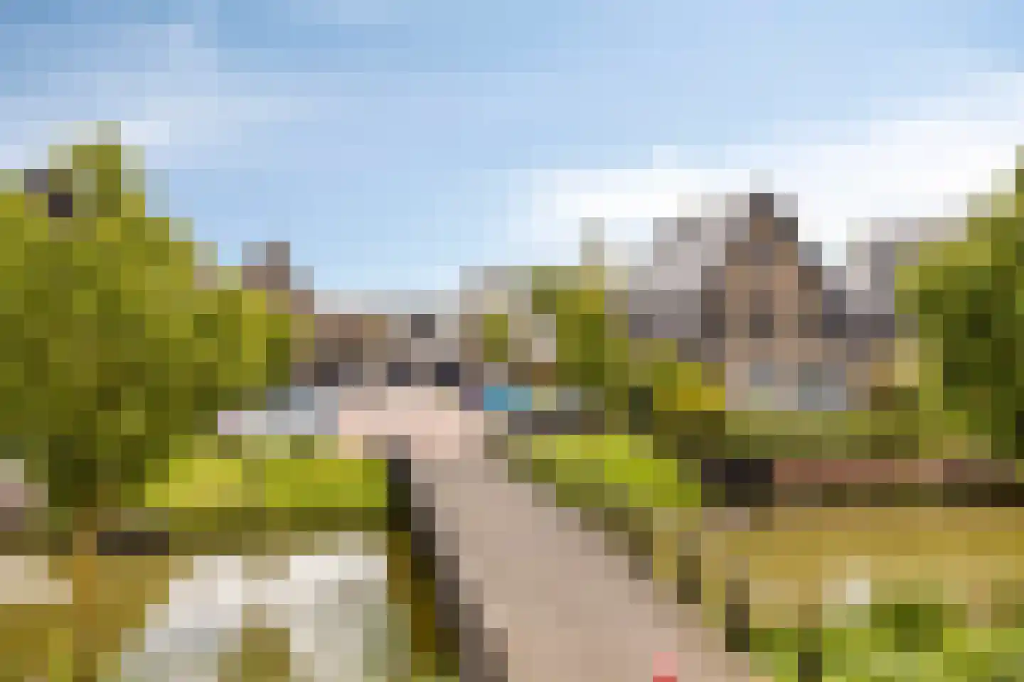 Kabeljauw 16 Schagen thumbnail 44