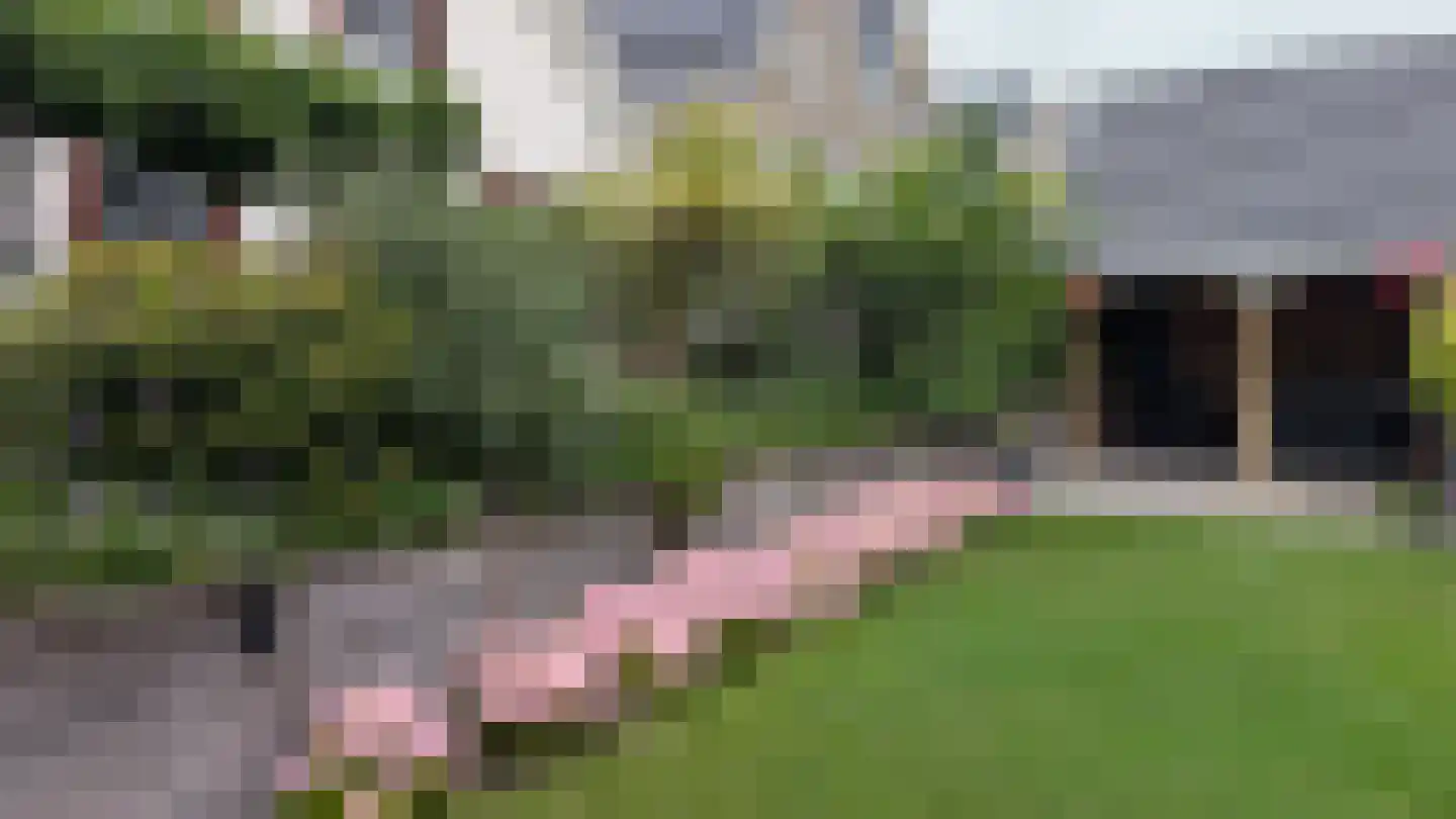 Kabeljauw 16 Schagen thumbnail 45