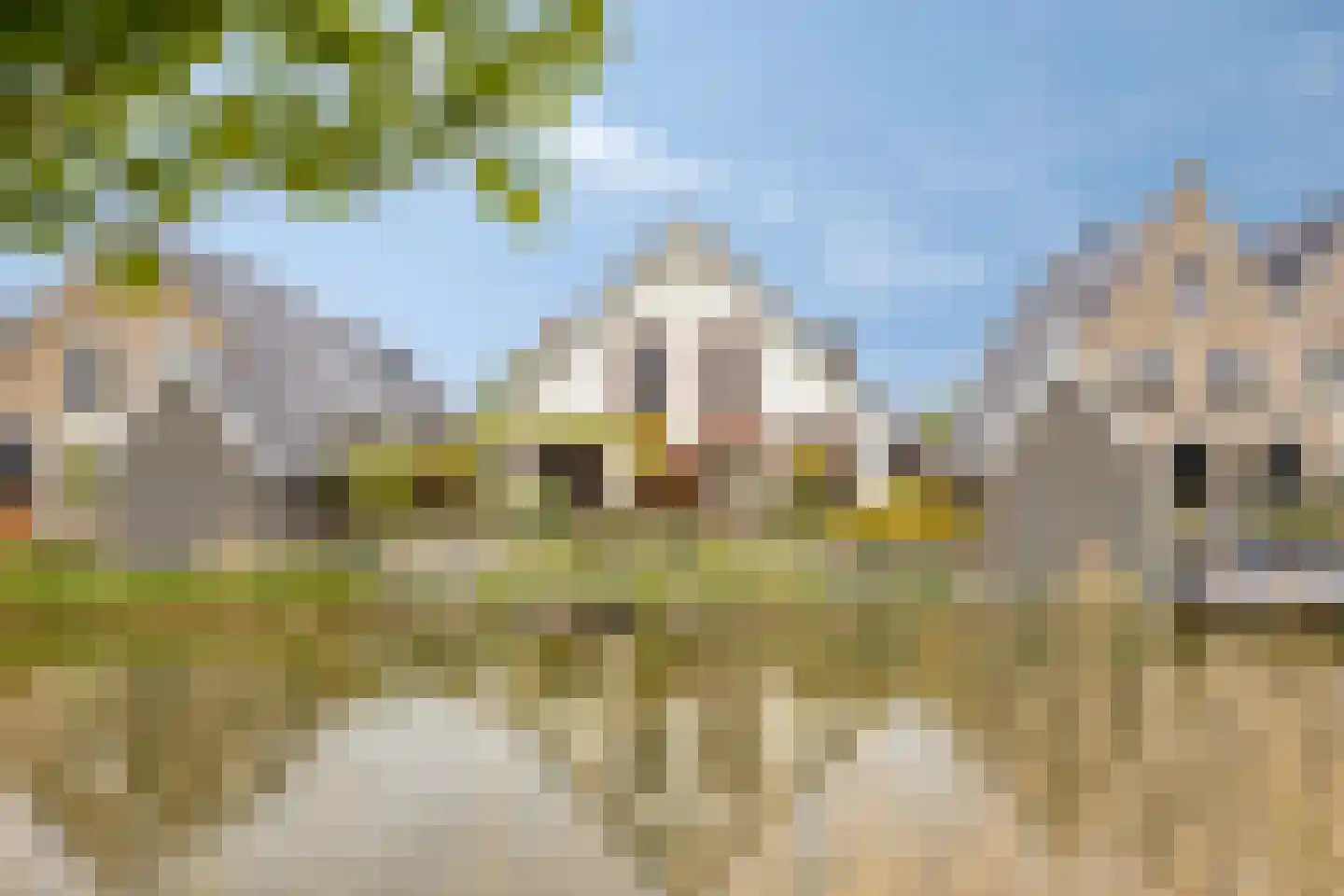 Kabeljauw 16 Schagen thumbnail 45