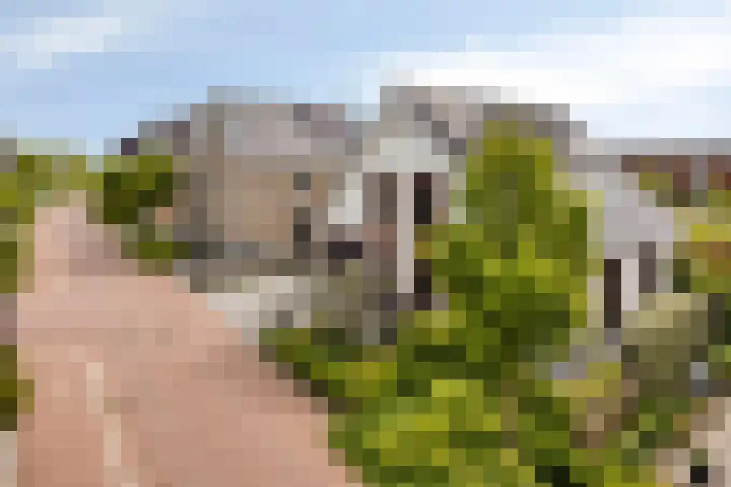 Kabeljauw 16 Schagen thumbnail 46