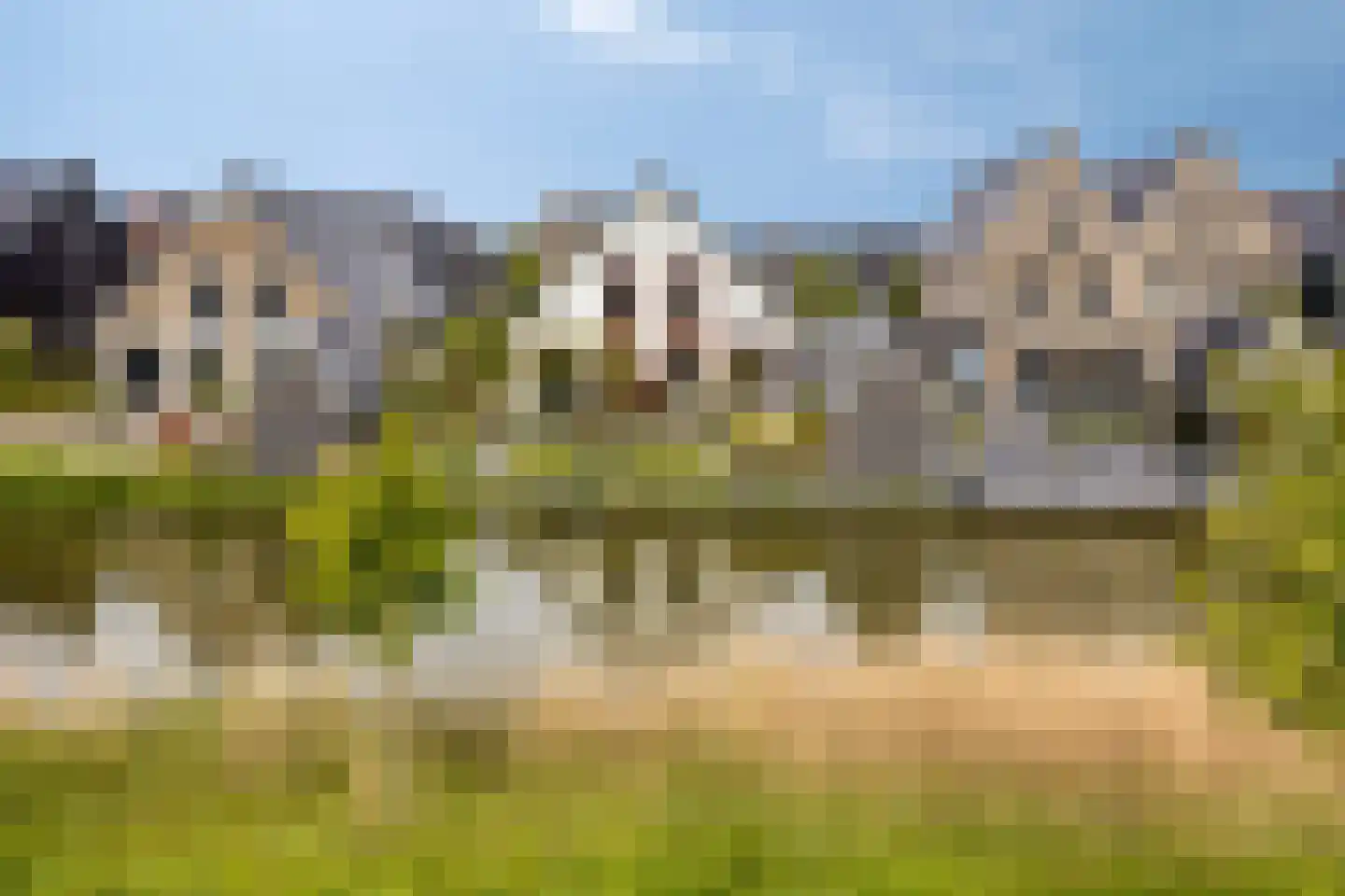 Kabeljauw 16 Schagen thumbnail 49
