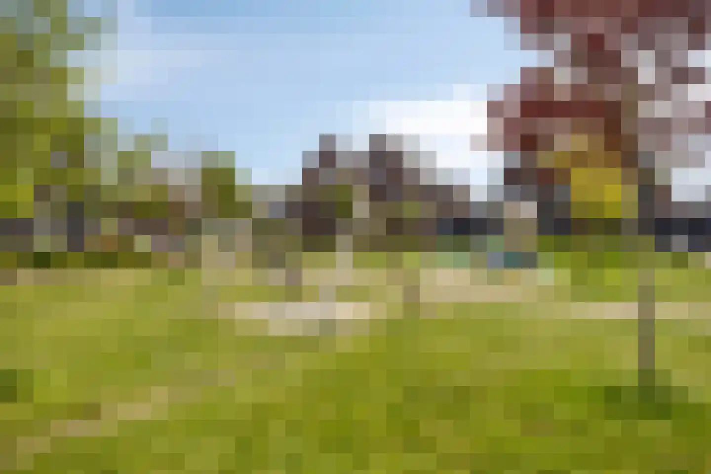 Kabeljauw 16 Schagen thumbnail 50