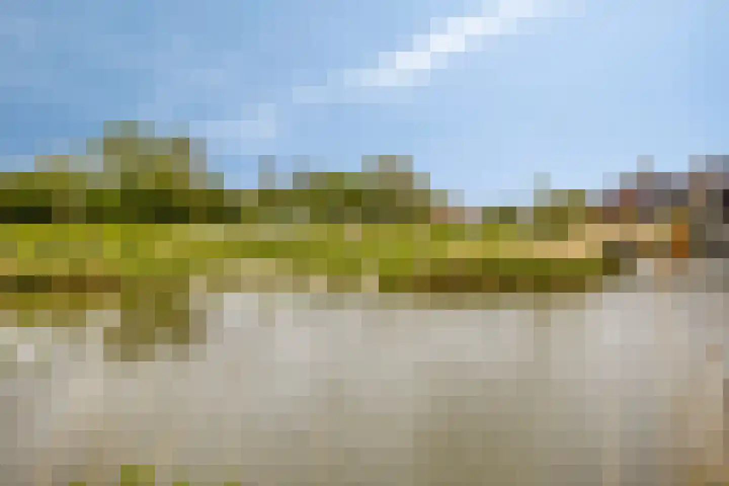 Kabeljauw 16 Schagen thumbnail 52
