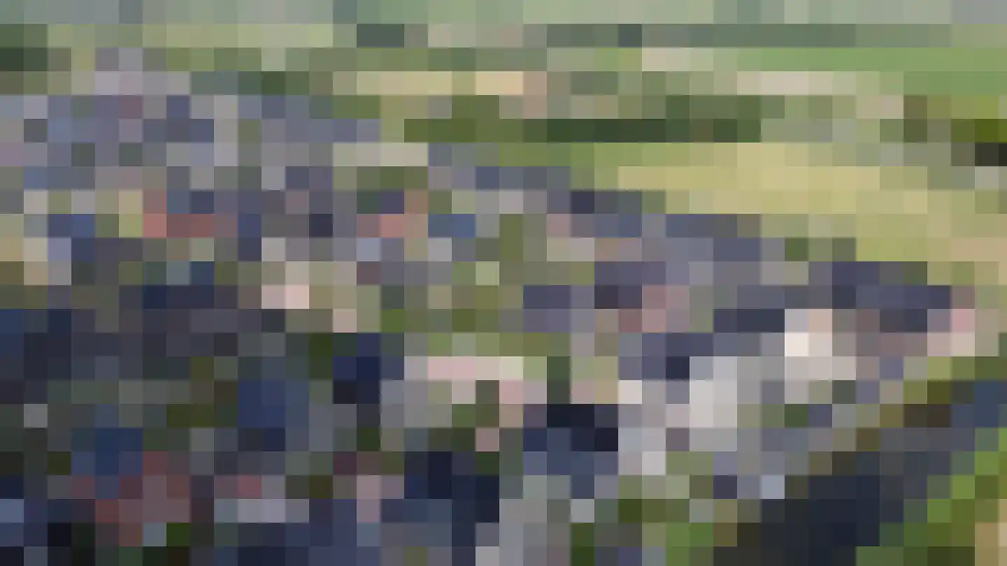 Kabeljauw 16 Schagen thumbnail 54