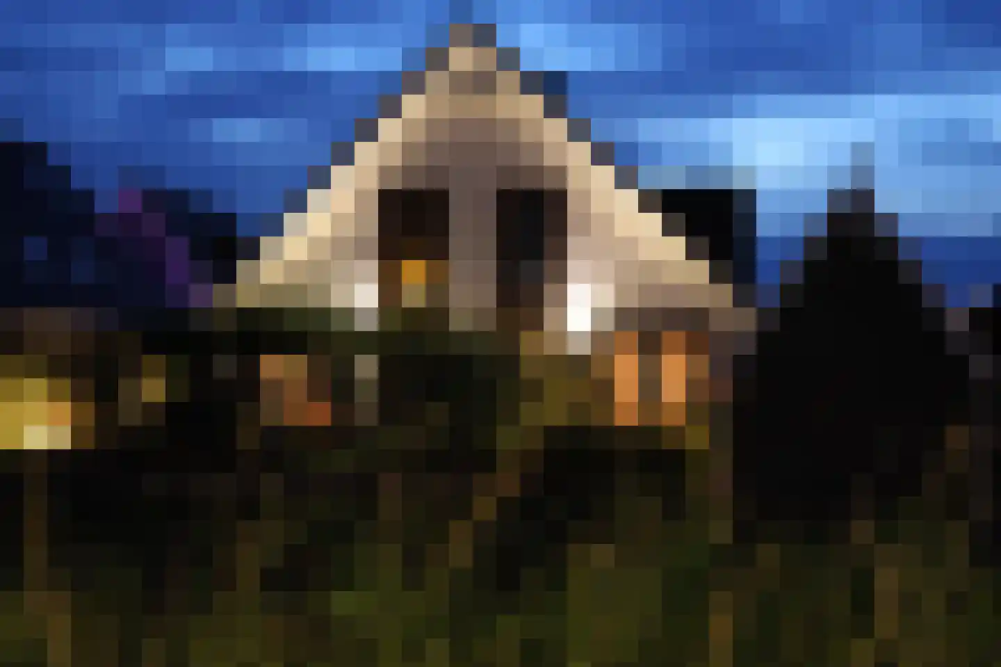 Kabeljauw 16 Schagen thumbnail 55