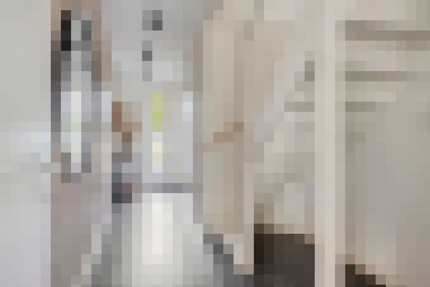 Kabeljauw 16 Schagen thumbnail 6