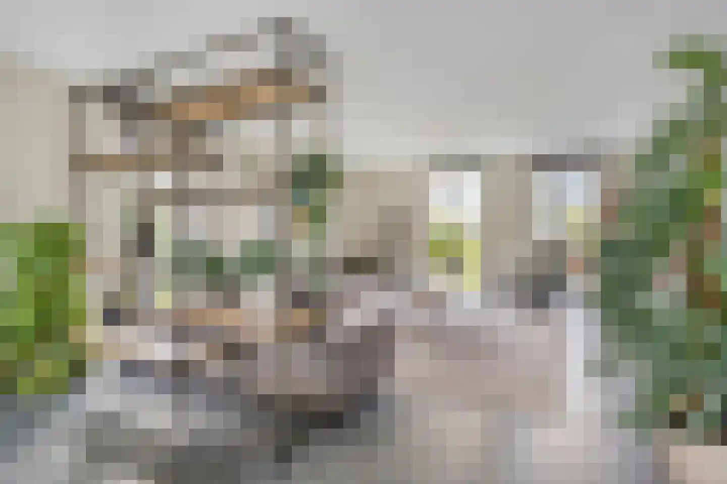 Kabeljauw 16 Schagen thumbnail 8