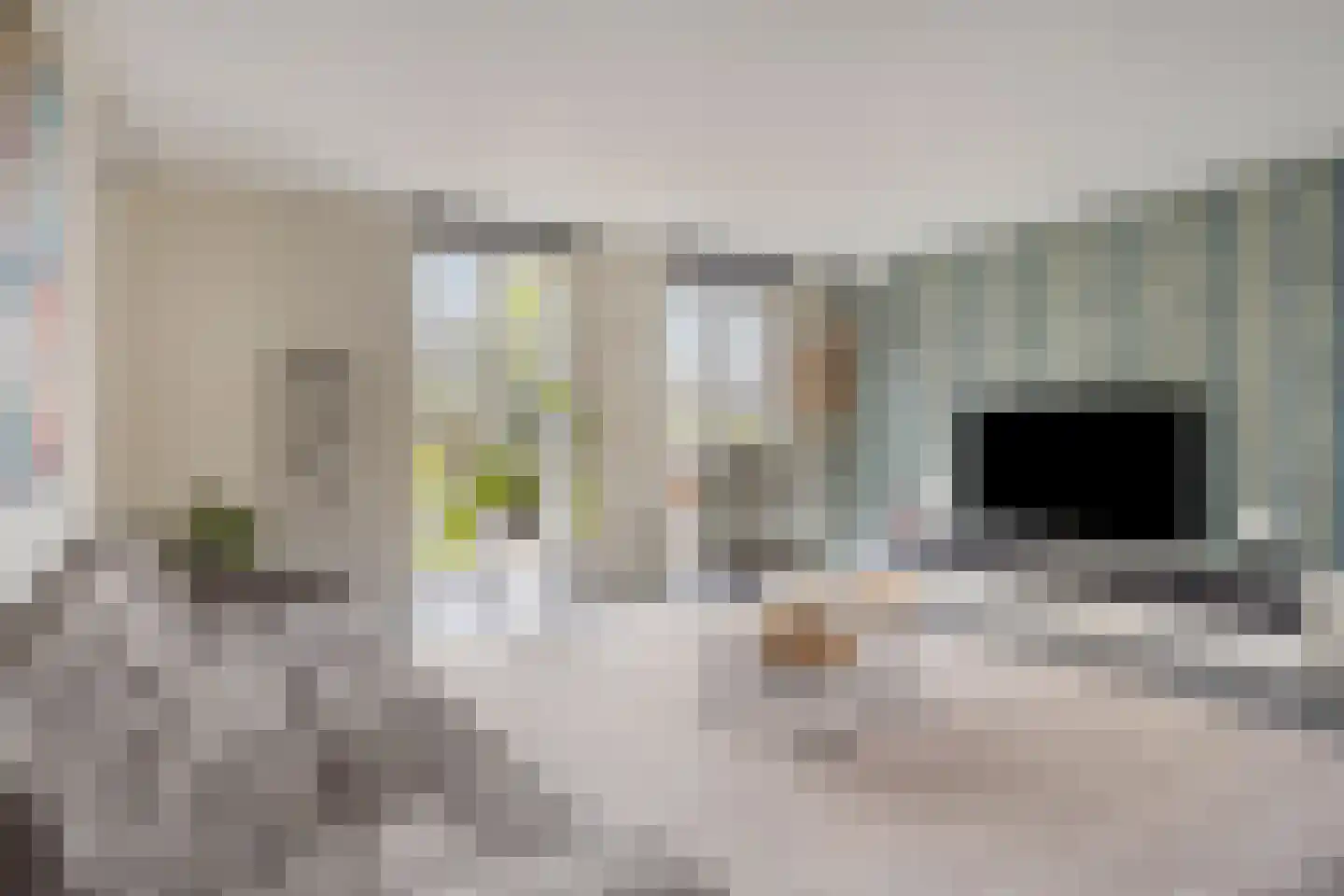 Kabeljauw 16 Schagen thumbnail 9