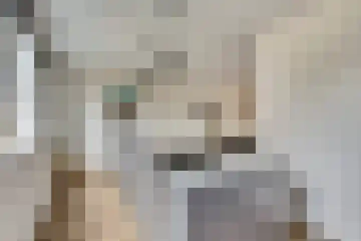 Kabeljauw 22 Schagen thumbnail 10