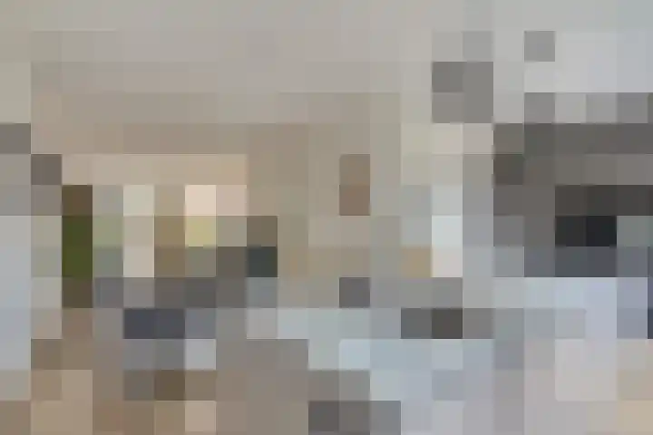 Kabeljauw 22 Schagen thumbnail 11