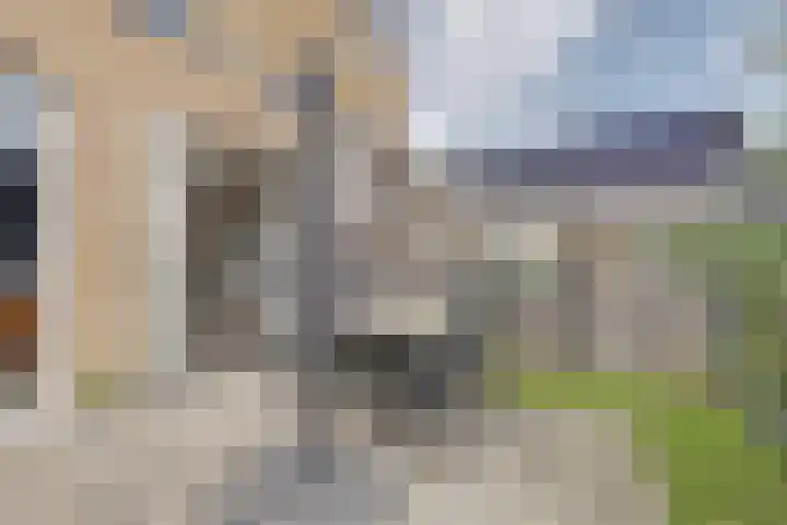Kabeljauw 22 Schagen thumbnail 16