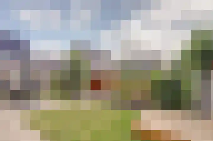 Kabeljauw 22 Schagen thumbnail 17