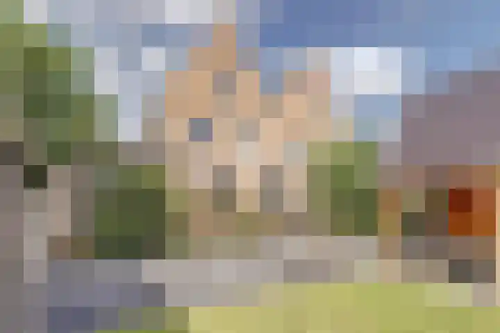 Kabeljauw 22 Schagen thumbnail 19