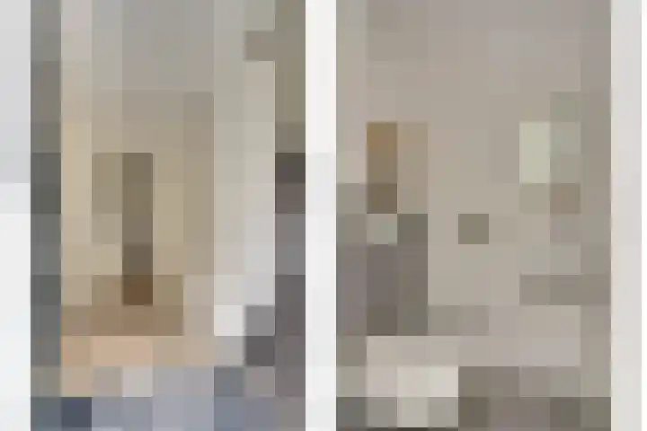 Kabeljauw 22 Schagen thumbnail 20