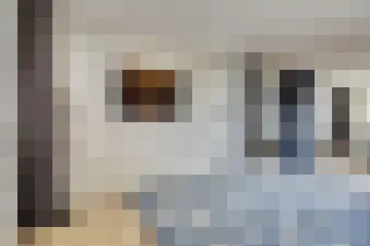 Kabeljauw 22 Schagen thumbnail 21