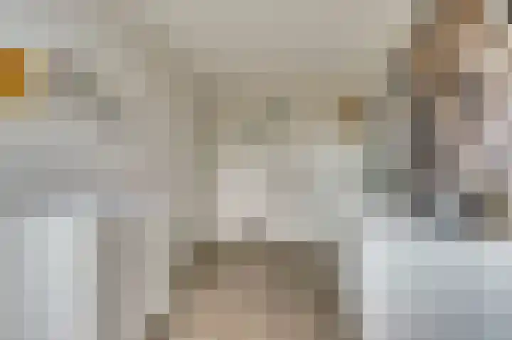 Kabeljauw 22 Schagen thumbnail 23