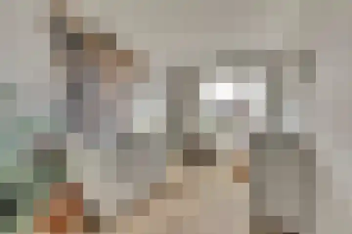 Kabeljauw 22 Schagen thumbnail 24