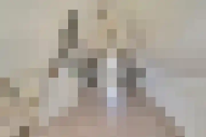 Kabeljauw 22 Schagen thumbnail 33