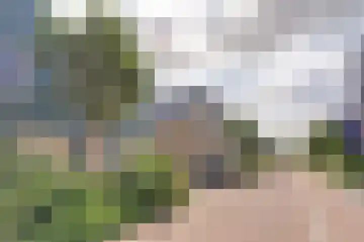 Kabeljauw 22 Schagen thumbnail 34