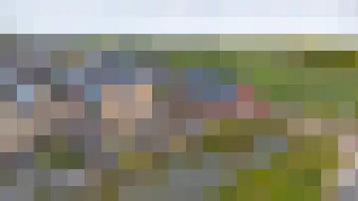 Kabeljauw 22 Schagen thumbnail 35