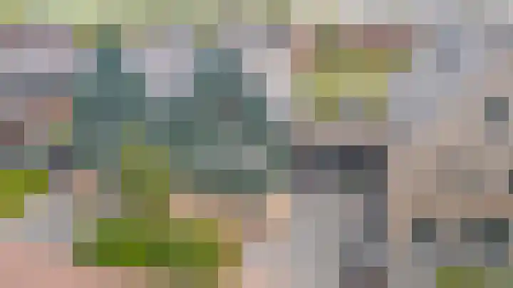 Kabeljauw 22 Schagen thumbnail 4