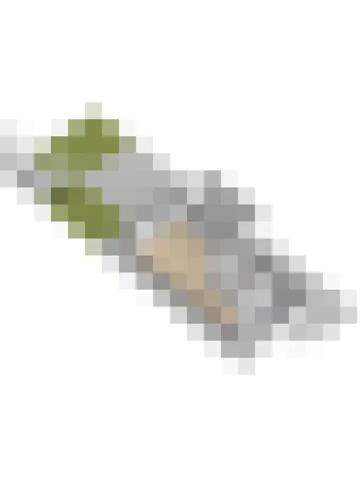 Kabeljauw 22 Schagen thumbnail 44