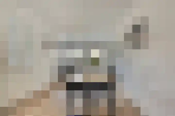 Kabeljauw 22 Schagen thumbnail 8
