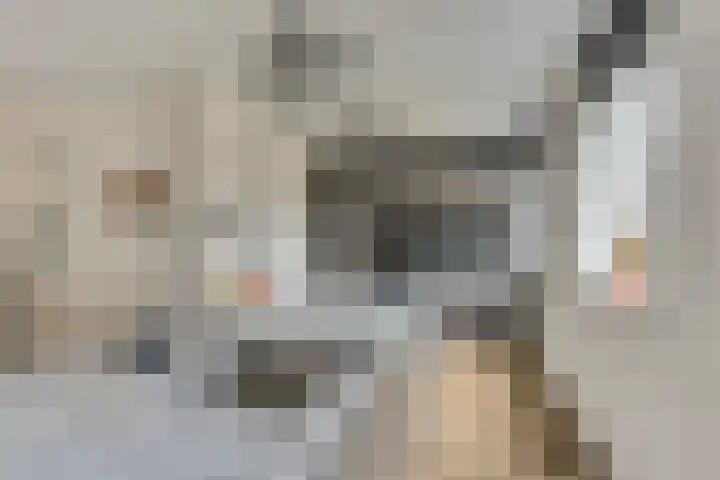 Kabeljauw 22 Schagen thumbnail 9