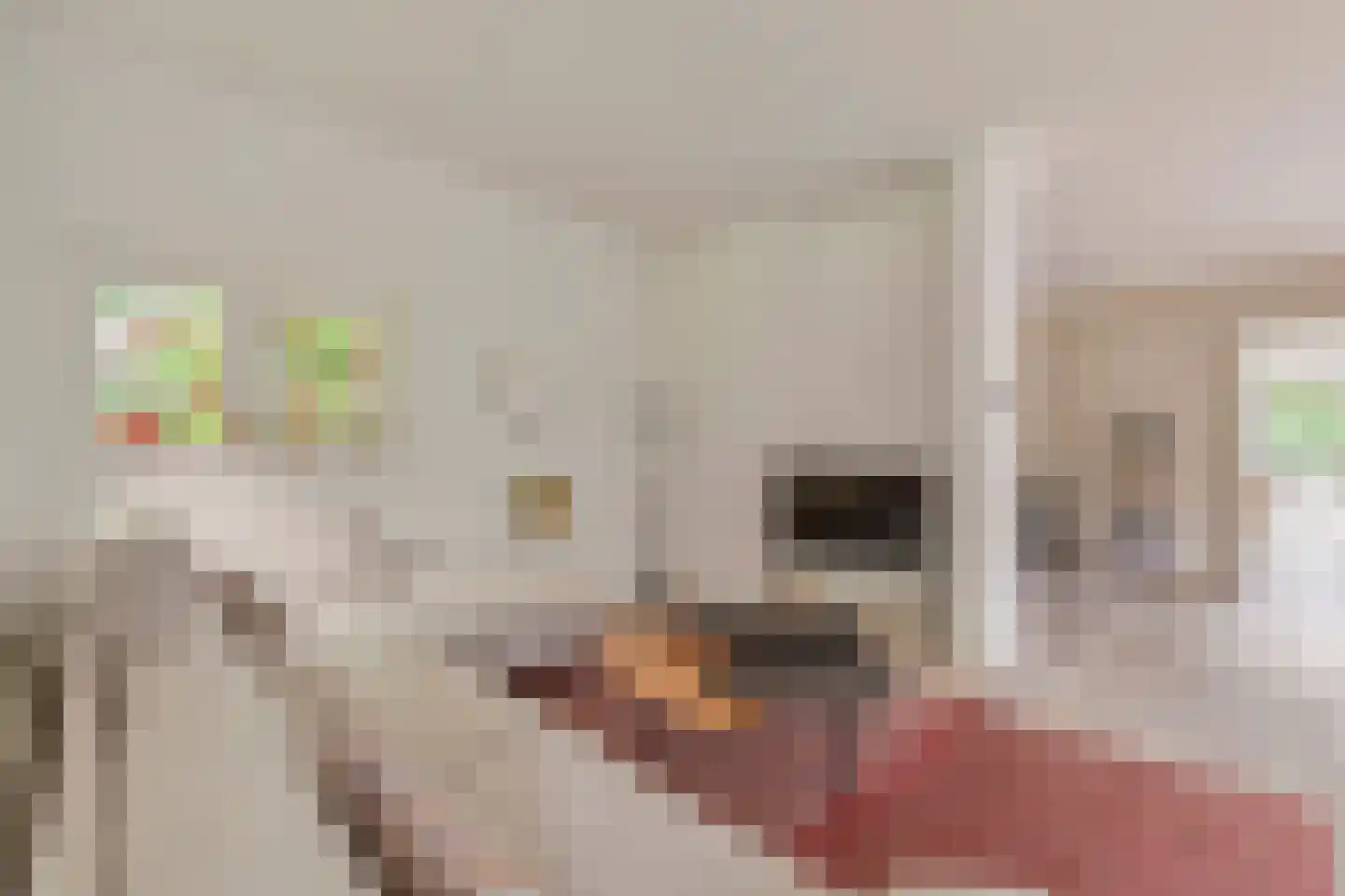 Kabeljauwallee 2 A Doorwerth thumbnail 17